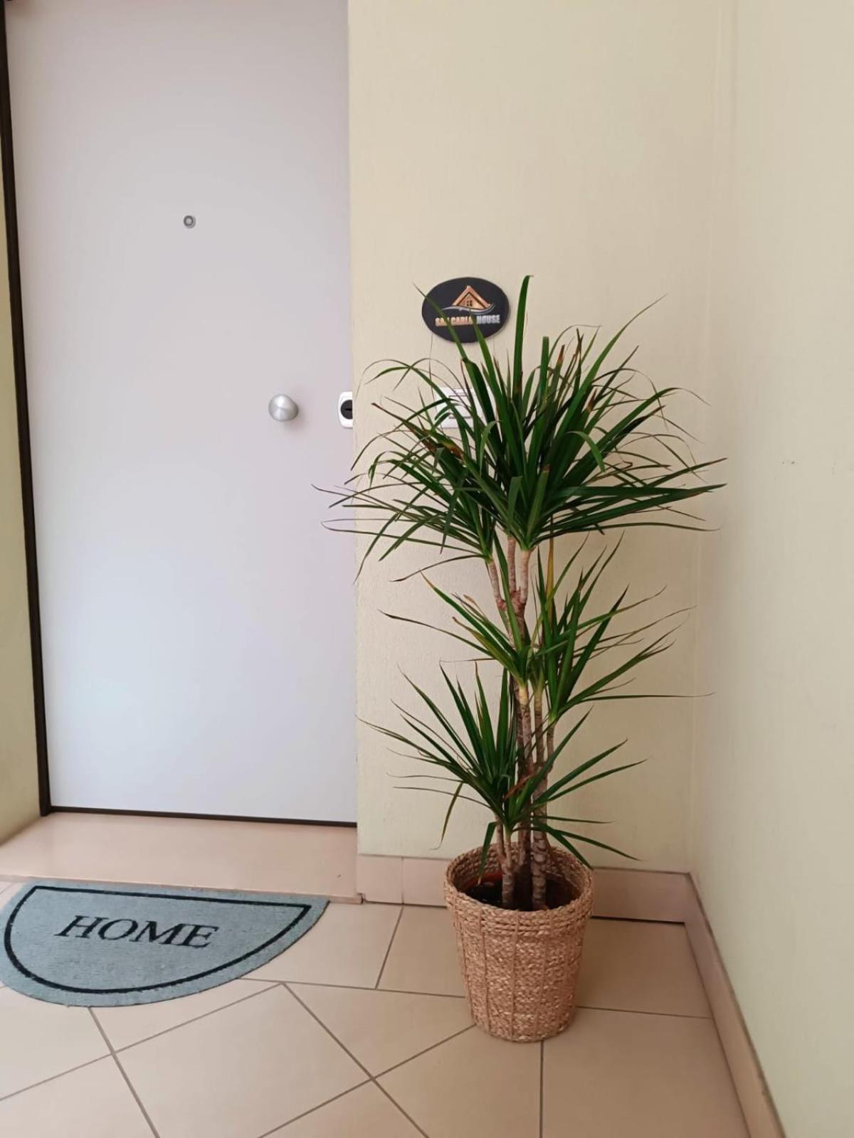 圭尔福堡San Carlo House公寓 外观 照片